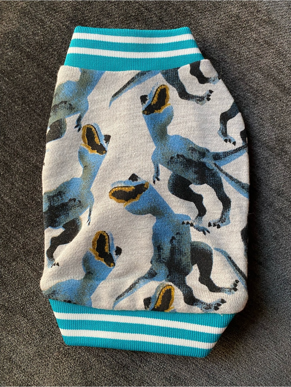 Teal & Blue Dinosaur Print Dog Pullover